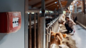 To personer står ved et gjerde i solfylt landskap; teksten lyder "Alt vi kan om Landbruket er en brannuttsatt.