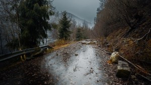 Ødelagt bilvei etter kraftig storm og vind. Trestammer og annet avfall er spredt rundt.