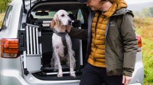 Husse och hund vid bilens baklucka