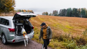 Hund springer ud af bagagerum på bil