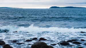 Vågor som slår in över en stenig strand