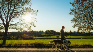 En mann går tur med hunden sin