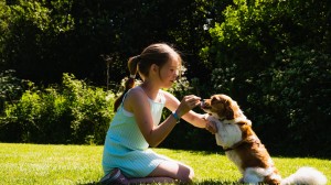 En jente leker ute med hunden sin en varm sommerdag